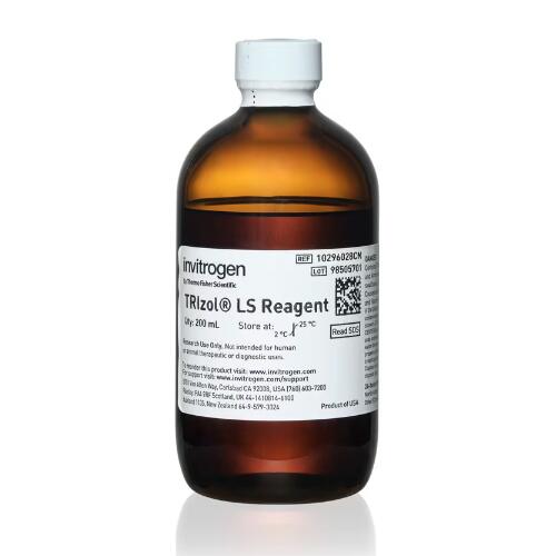 美国Invitrogen TRIzol LS试剂 RNA DNA 有机提取 10296028CN
