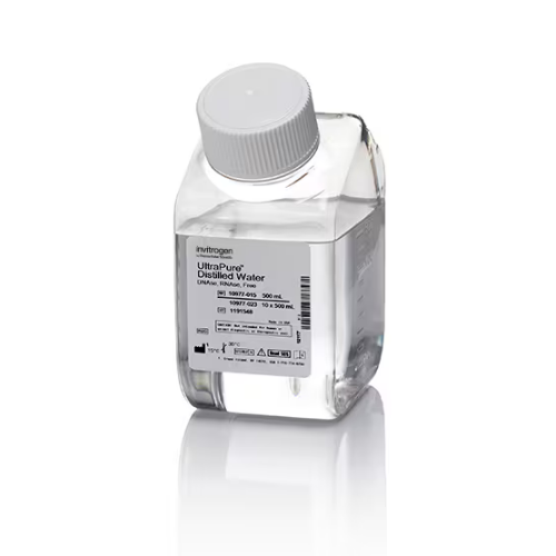 Thermo赛默飞UltraPure 无DNase/RNase 10977015蒸馏水10977023