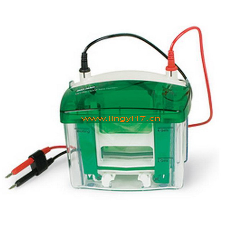Bio-rad Mini-PROTEAN®Tetra Cell美国伯乐小垂直板电泳槽，预制胶电泳槽1-4块1658004