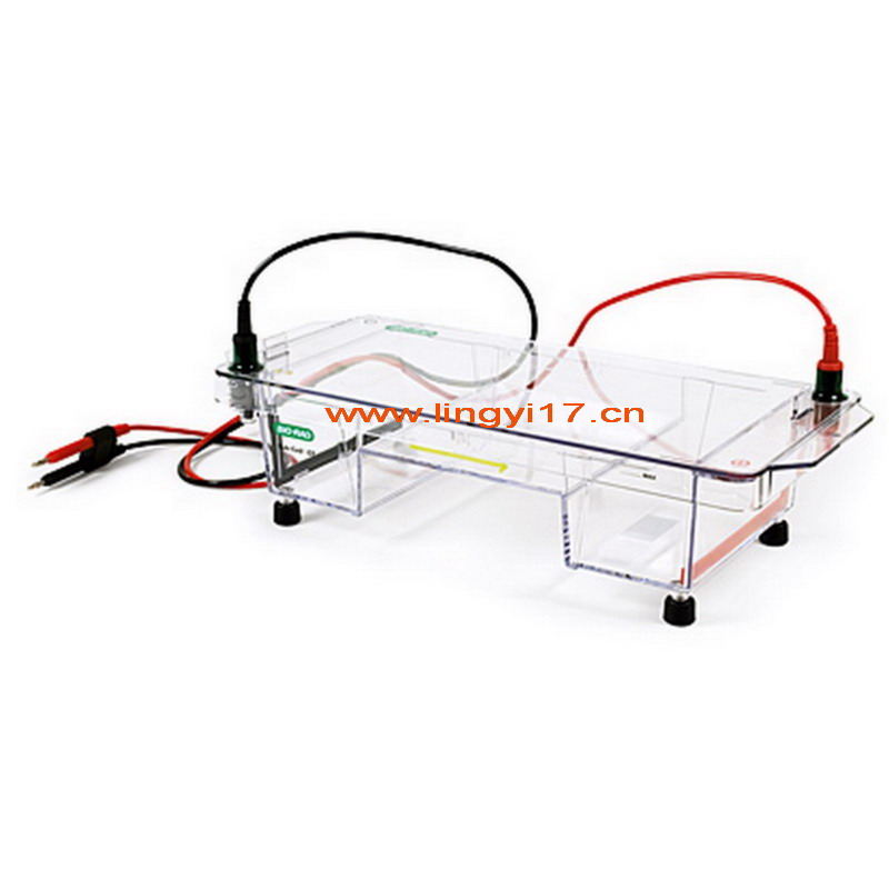 Bio-rad美国伯乐中型水平电泳槽Sub-Cell® GT Cell1704482