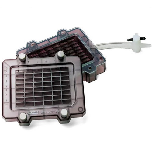 美国Bio-rad伯乐 Bio-Dot Apparatus 微孔过滤仪1706546 1703938