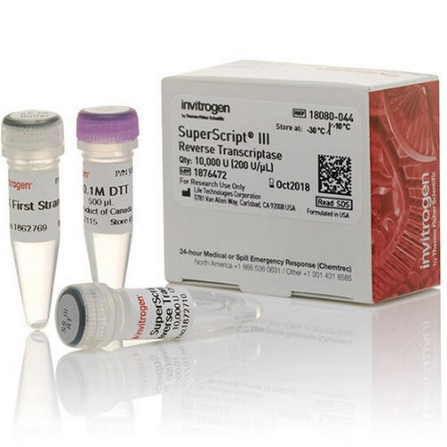 Thermo赛默飞SuperScript III 反转录酶18080044 18080085 18080093