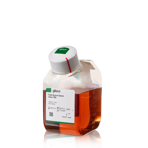 Thermo赛默飞优级胎牛血清 500ml/瓶 Gibco 巴西血源 A5256701