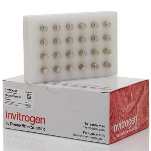 赛默飞世尔Thermo 磁力架-96 适用96孔板 PCR板 AM10027