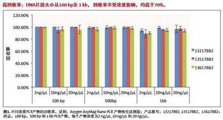 爱思进磁力架IMAG-96-P-G