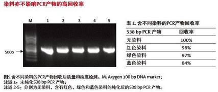 康宁磁力架IMAG-96-P-G