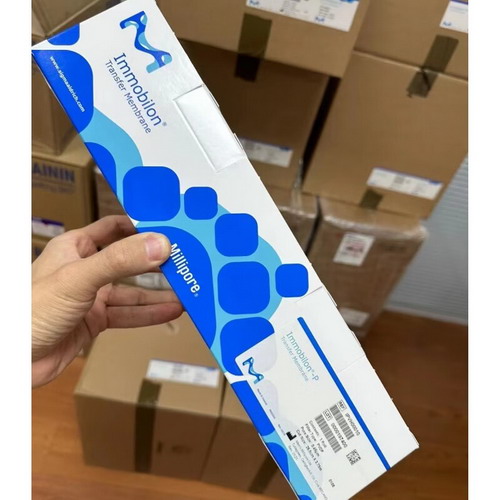 默克Millipore密理博转印膜 IPVH00010 卷膜27cmx3.75m  PVDF材质