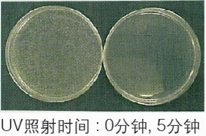 日本松下(原三洋)二氧化碳培养箱MCO-20AIC，容积：215L