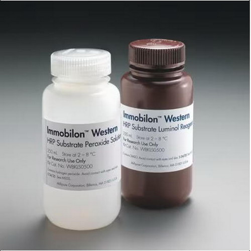 Millipore密理博WBKLS0100 Immobilon Western化学发光HRP底物 WBKLS0500