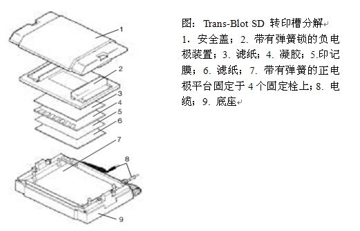 美国Bio-Rad Trans-Blot SD型半干转印系统1703940